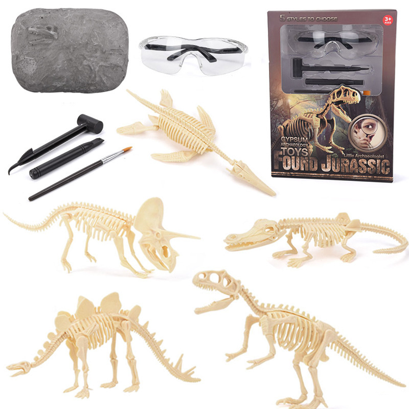 Model Kit Excavator - Dinosaurier-Fossil-Ausgrabungsset STEM Ausgrabbare Dinosaurierskelett-Modelle Lehrreiche Wissenschaftsgeschenke