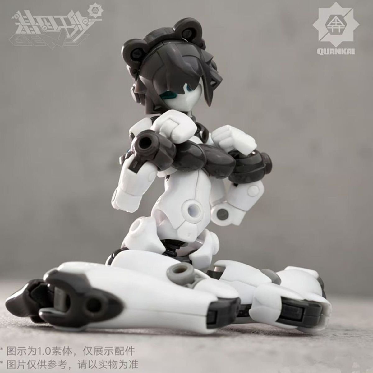 Kit Gene Interference Series Q – Model Kit China Bewertung und Preis