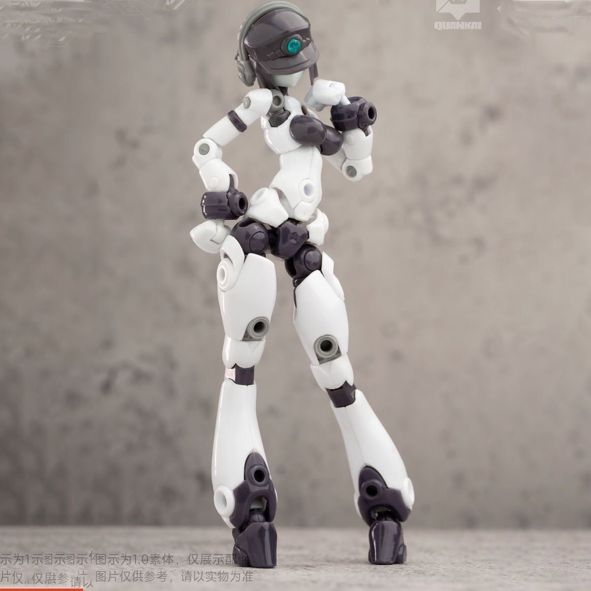 Kit Gene Interference Series Q – Model Kit China Bewertung und Preis