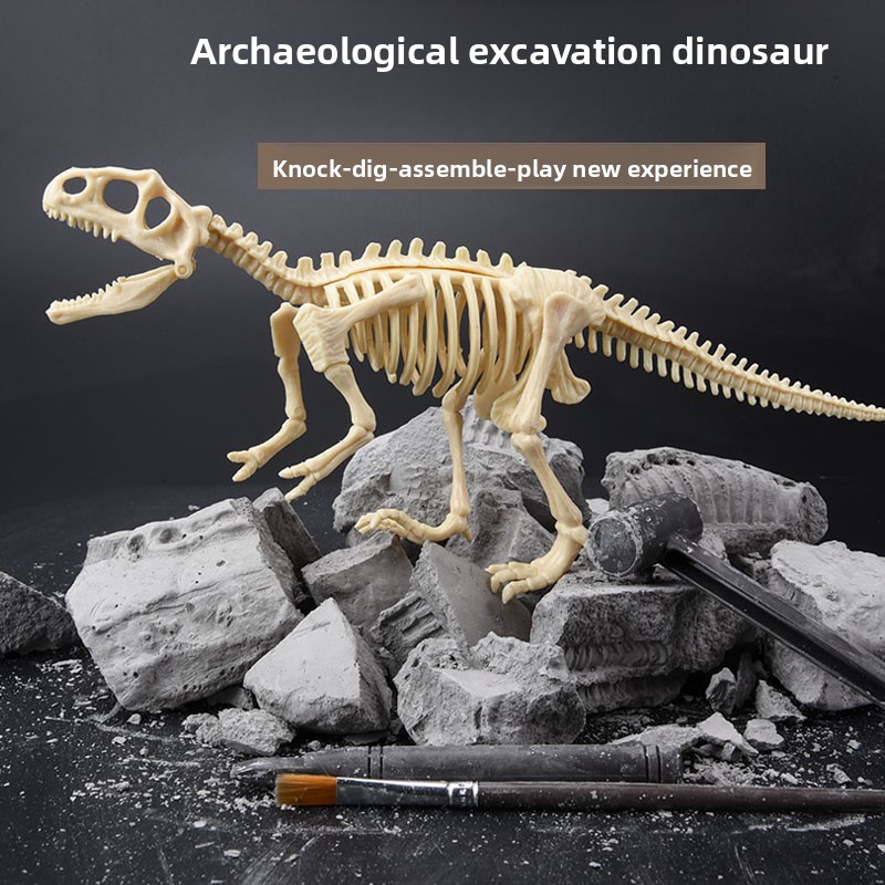 Dinosaurier-Fossil-Ausgrabungs – Model Kit Excavator Bewertung und Preis